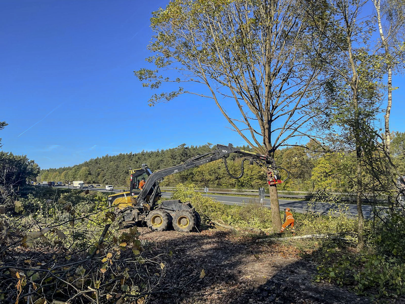 images/Referenzen/BAB_A6_Holzungen_östl._Triebendorf_bis_AS_Schwabach-West_/image14.jpg#joomlaImage://local-images/Referenzen/BAB_A6_Holzungen_östl._Triebendorf_bis_AS_Schwabach-West_/image14.jpg?width=1600&height=1200