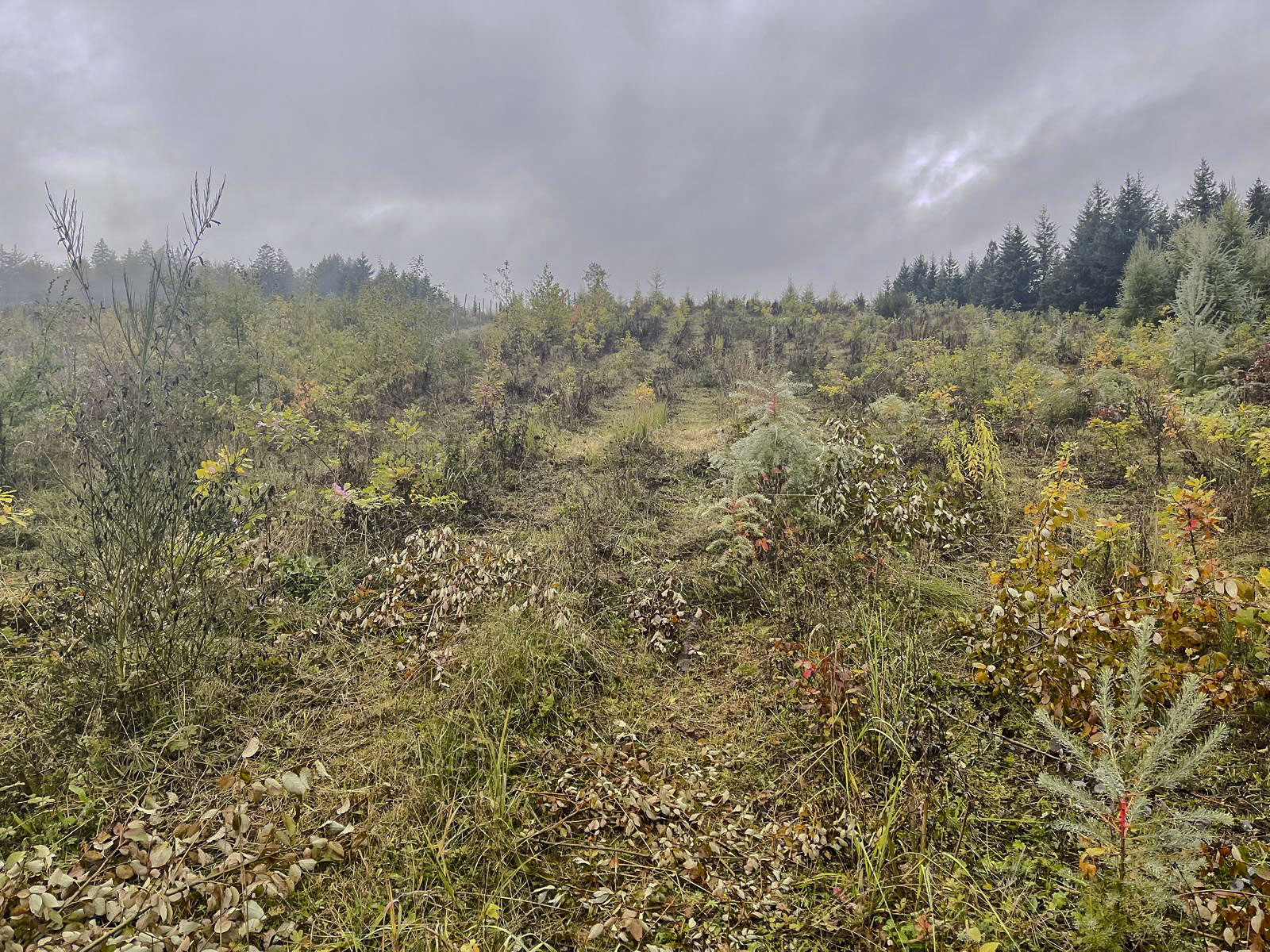 images/Referenzen/Bahnstrecke_ABS_Hanau-Nantenbach/image8.jpg#joomlaImage://local-images/Referenzen/Bahnstrecke_ABS_Hanau-Nantenbach/image8.jpg?width=1600&height=1200