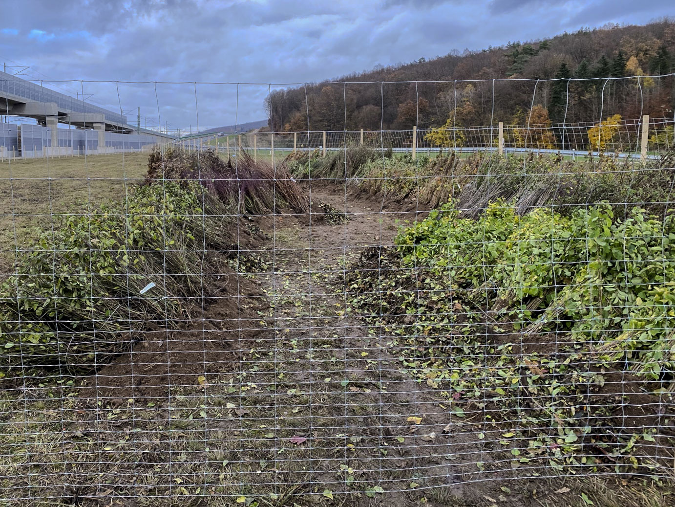 images/Referenzen/VDE_Nr.8.1_BA_2324_Hallstadt_in_Bamberg/image4.jpg#joomlaImage://local-images/Referenzen/VDE_Nr.8.1_BA_2324_Hallstadt_in_Bamberg/image4.jpg?width=1382&height=1037