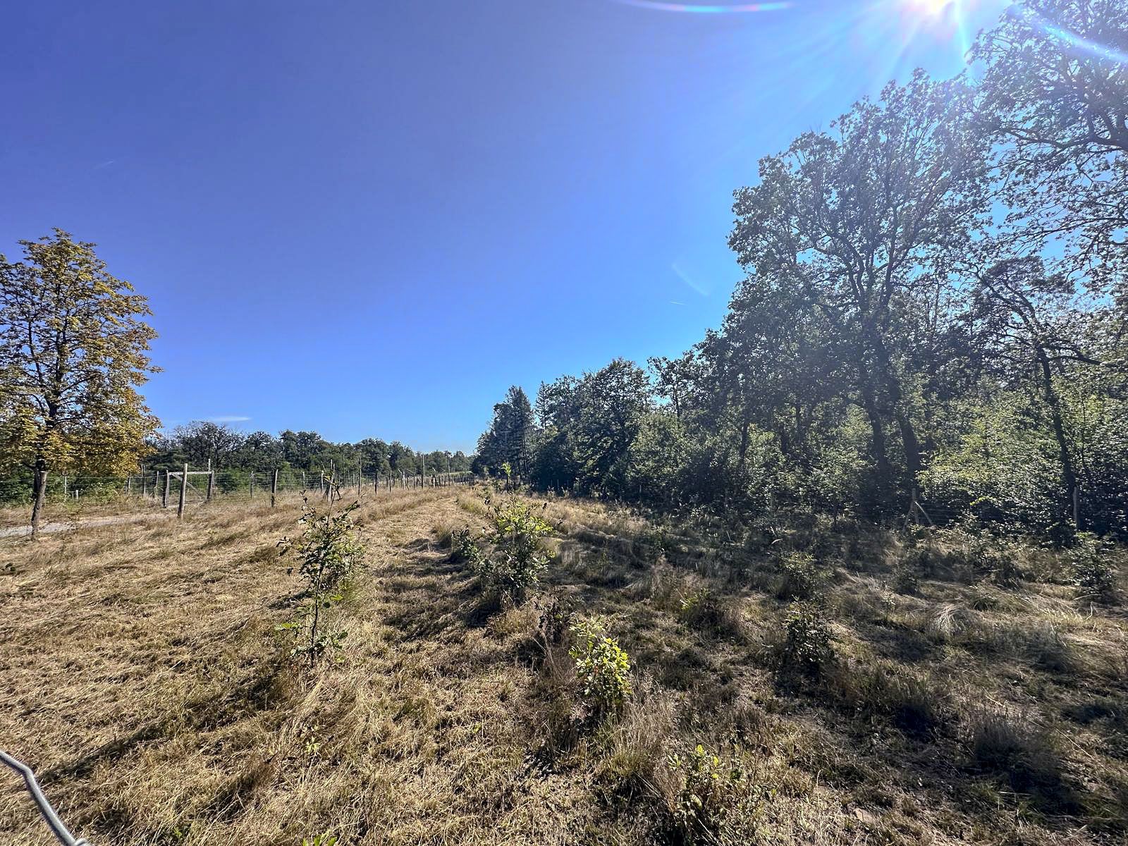 images/Referenzen/Gateway_Gardens_in_Frankfurt_für_die_Deutsche_Bahn/image2.jpg#joomlaImage://local-images/Referenzen/Gateway_Gardens_in_Frankfurt_für_die_Deutsche_Bahn/image2.jpg?width=1600&height=1200